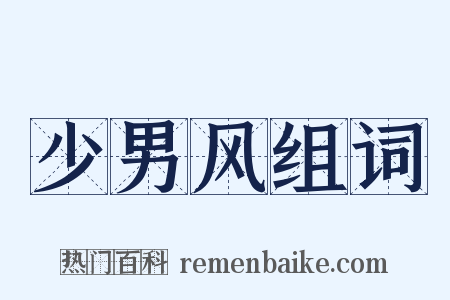 少男风组词是什么意思的图片